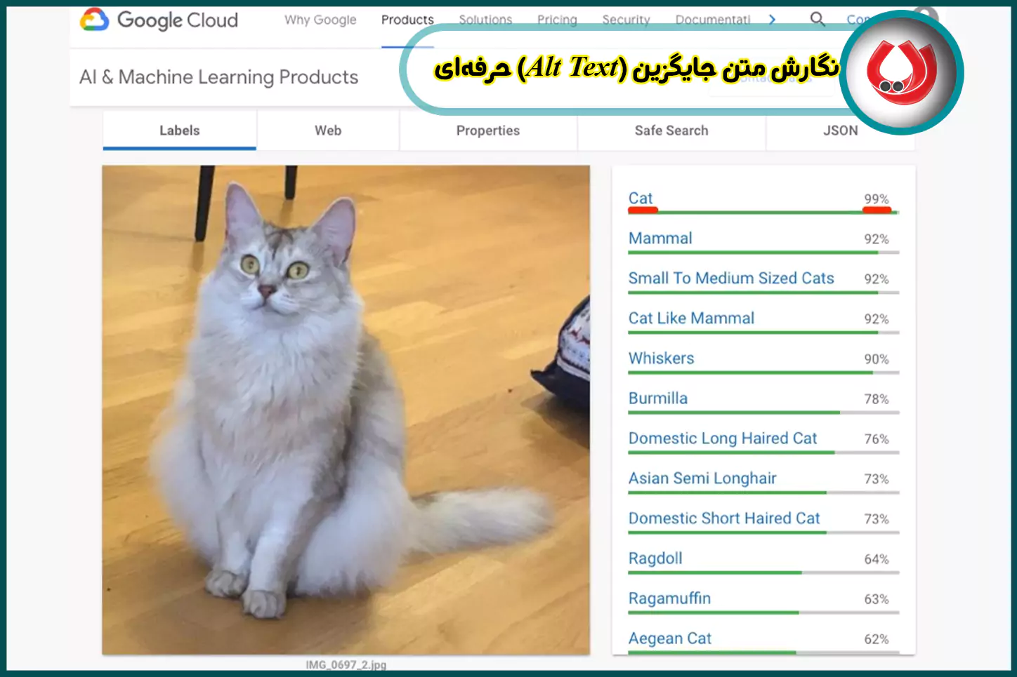 نگارش-متن-جایگزین-(Alt Text)-حرفهای