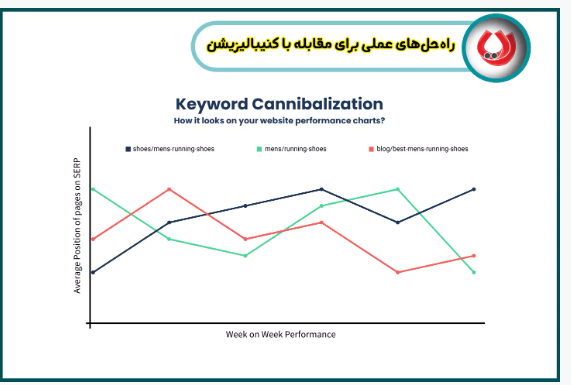 راه های عملی برای مقابله با کنیبالیزیشن