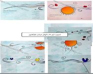 طراحی جلد و صفحه آرایی